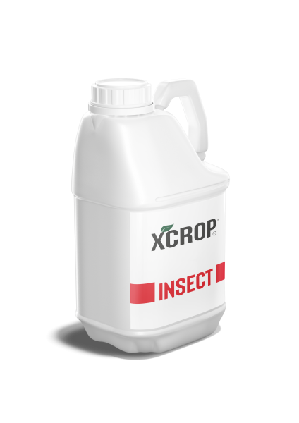 XCROP Insect