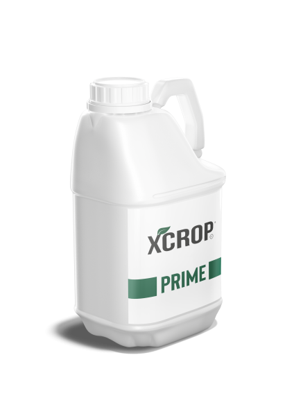 XCROP Prime